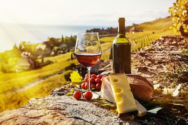 Dégustation de vins suisses dans les vignobles de Lavaux : voyage privé au départ de Genève