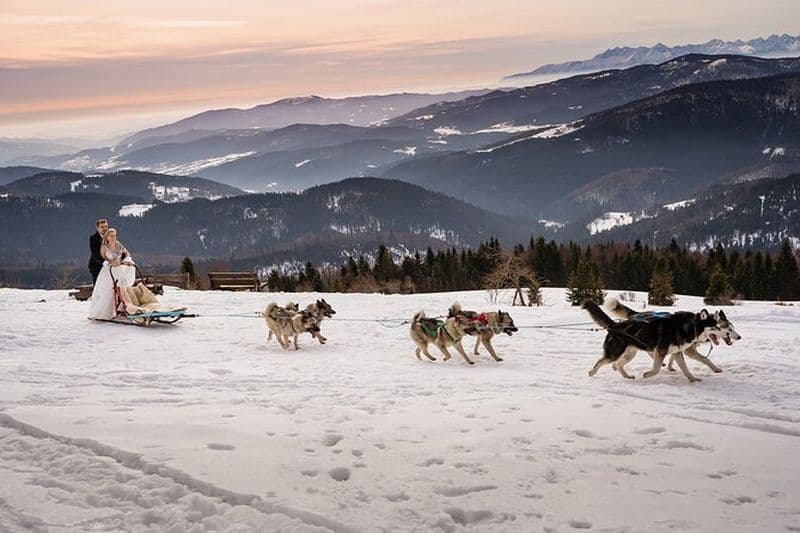 Ressentez la magie de l'hiver avec des promenades palpitantes en traîneau à chiens dans l'Arctique