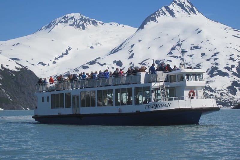 Billet Croisière au glacier Portage et Wildlife Explorer Tour