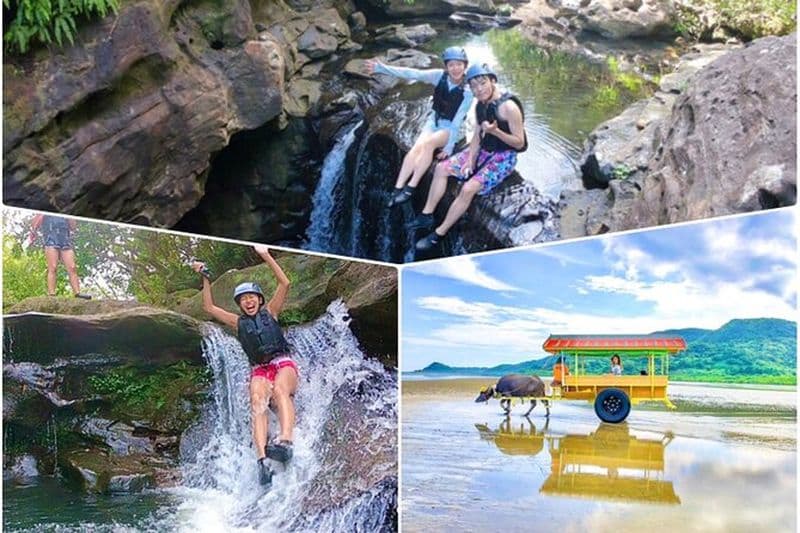 Okinawa Iriomote Island 1 Day - Excursion d'une journée au départ de l'île d'Ishigaki !Canyoning sur l'île d'Iriomote et visite touristique de l'île de Yubu. Données photographiques et location d'équipement gratuites.