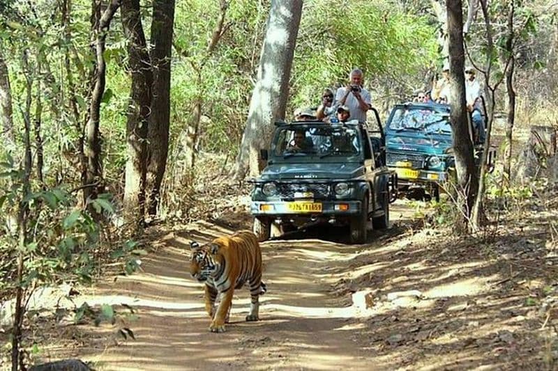 Tour en triangle doré avec safari au tigre de Ranthambore