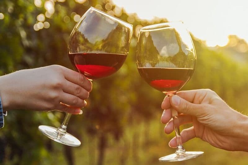 Une expérience de dégustation de vin dans les vignobles du désert