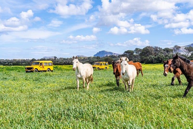 Aventure à Majorque Safari rural en 4x4 et barbecue au ranch