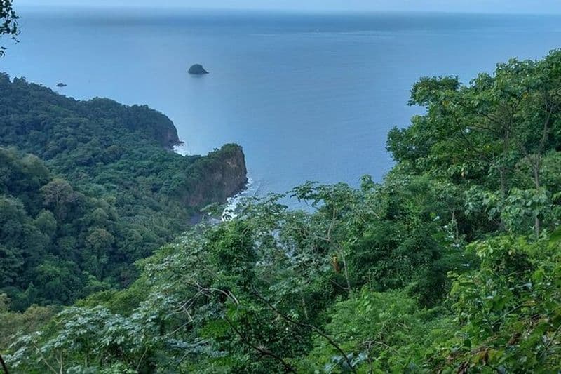 Immersion Sauvage : Rando au Cœur de la Forêt tropicale