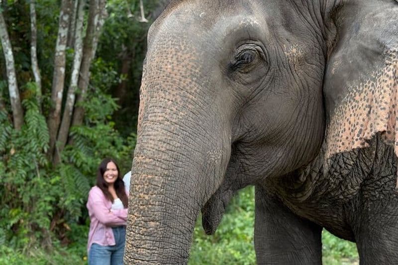 Safari dans la jungle en jeep de l'armée et visite du centre de sauvetage de la liberté des éléphants