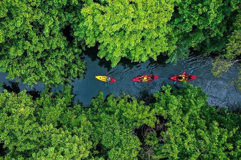 Activité guidée en kayak l'après-midi sur la rivière Tamarin