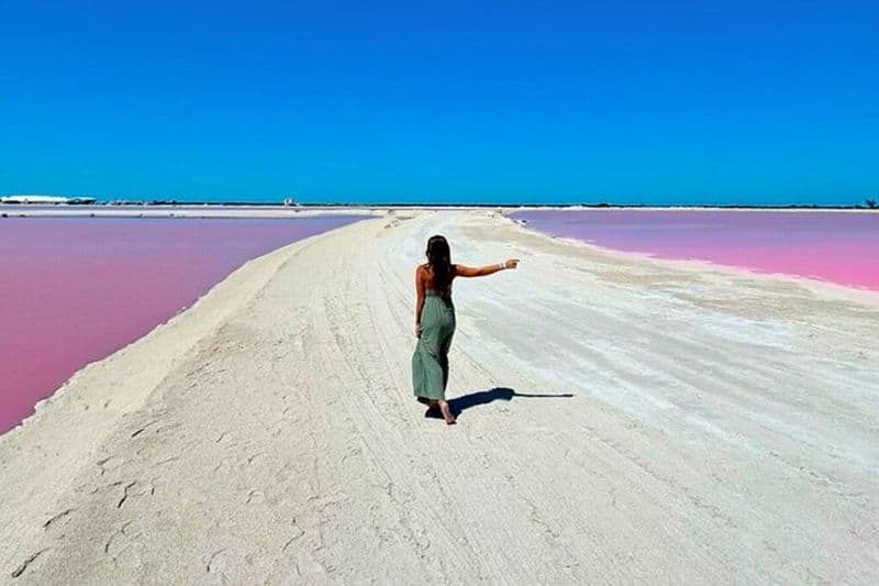 Billet Safari à Rio Lagartos, Coloradas et bain maya