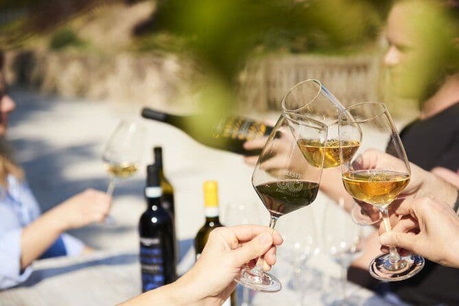 Découvrez le vin et les saveurs traditionnelles des collines euganéennes