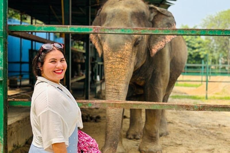 Billet Privé 4 - Journée Triangle d'Or avec Ranthambore Tiger Safari