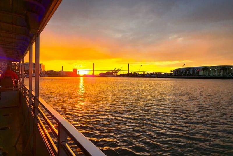 Visite écologique des dauphins au coucher du soleil