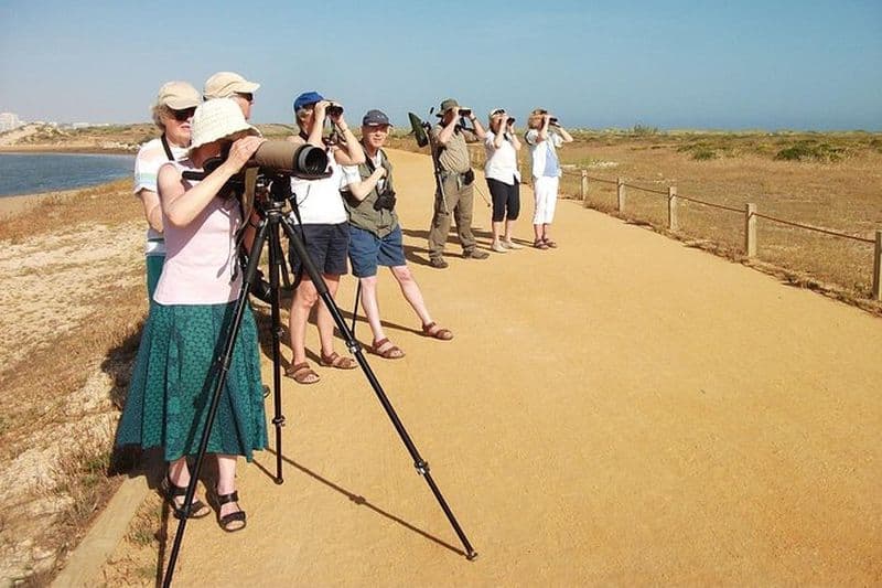 Demi-journée d'observation d'oiseaux dans les dunes d'Alvor