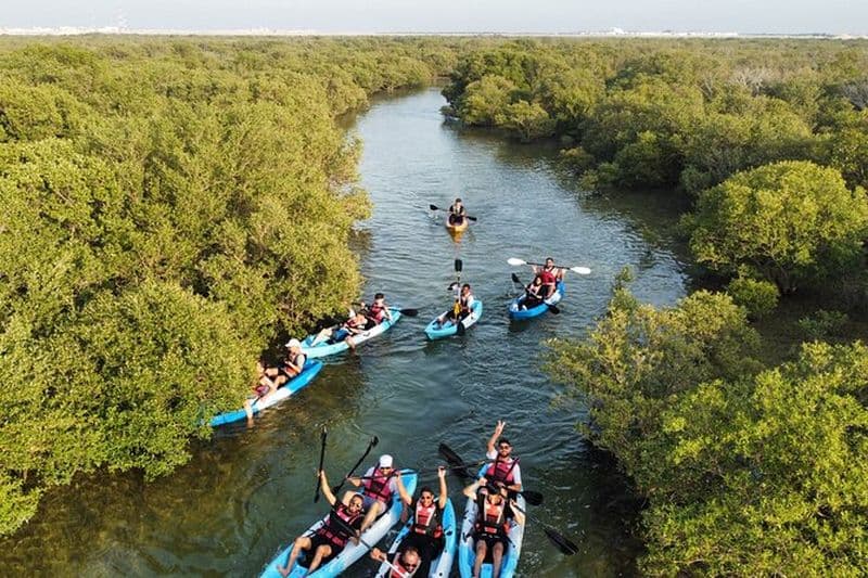 Billet Eco Kayak Adventure – Exploration des mangroves à Purple Island