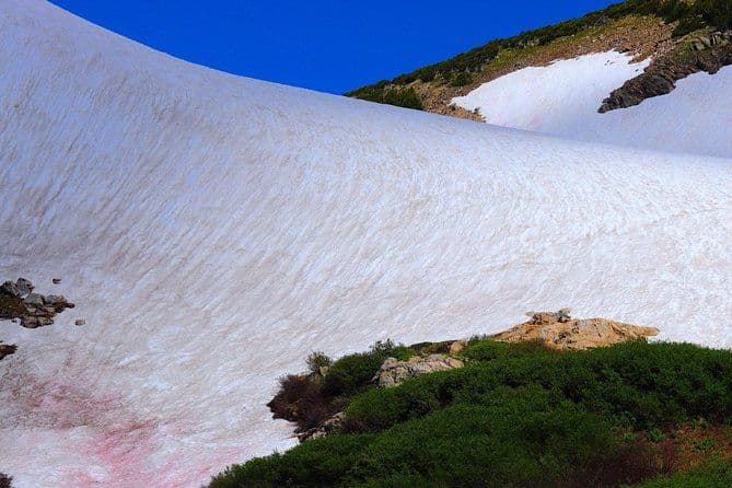 Randonnée sur glacier et visite des grottes géothermiques