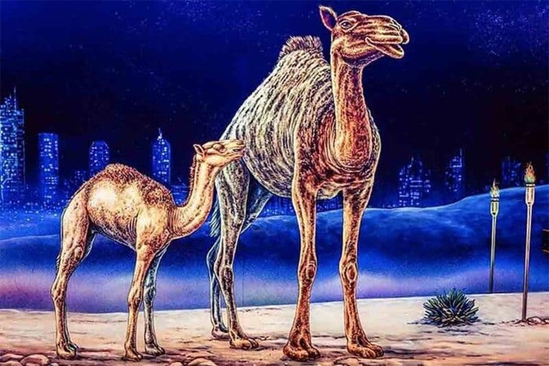 Billet 3D Blacklight Minigolf - Jbr / Marina Dubaï