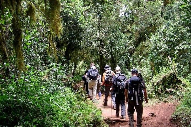 Billet 5 jours d'escalade du mont Kenya à la porte de Chogoria sur la route de Sirimon