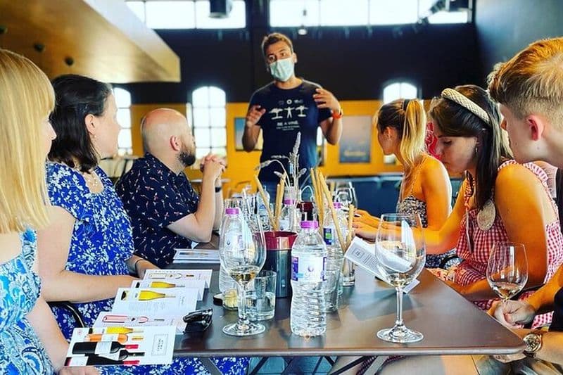 Billet Visite des vins de Nemea au départ d'Athènes, de Nauplie ou de Nemea avec des œnologues