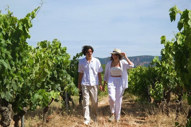 Billet Escapade d'une Journée en Van au cœur du Vignoble Provençal