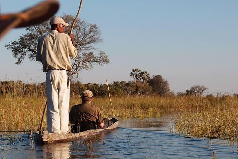 Safari de 11 jours au Botswana