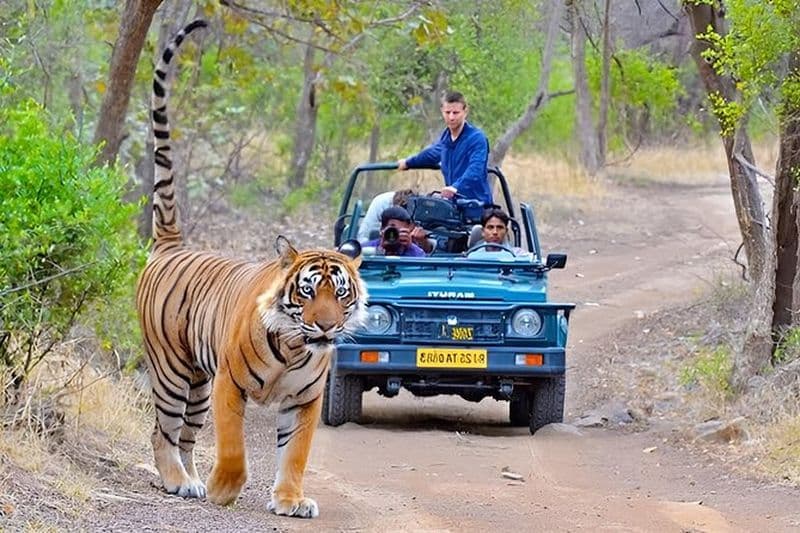 4 jours privé Delhi, Agra et Jaipur avec Ranthambore Tiger Safari
