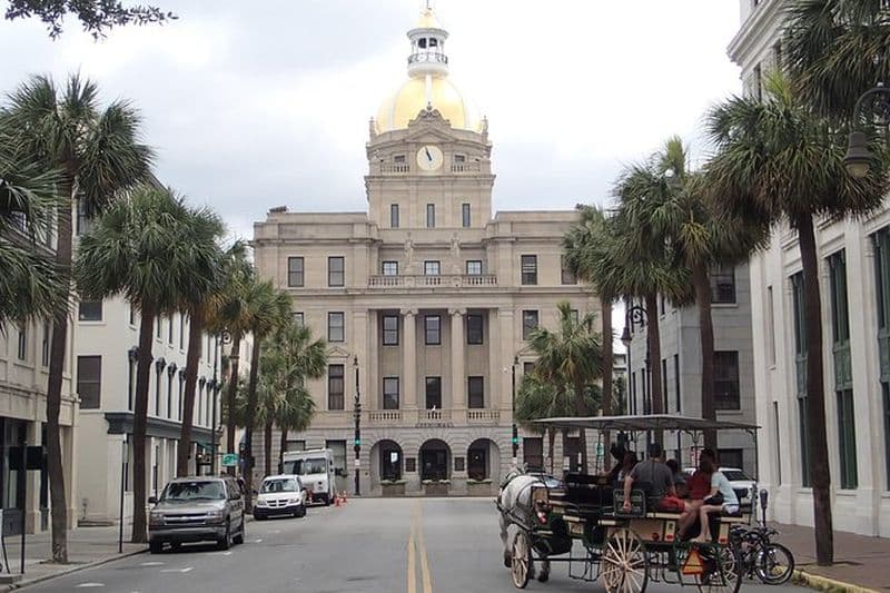 Chasse au trésor dans les savanes