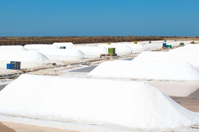 Excursion en jeep - Fuzeta, Olhão et bain de boue et de sel