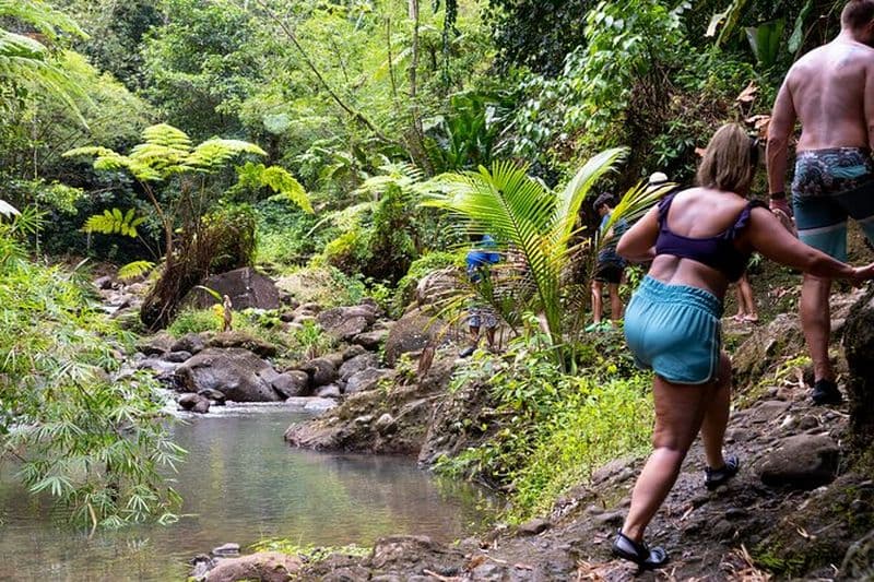 Billet Randonnée dans la forêt pluviale et safari en cascade