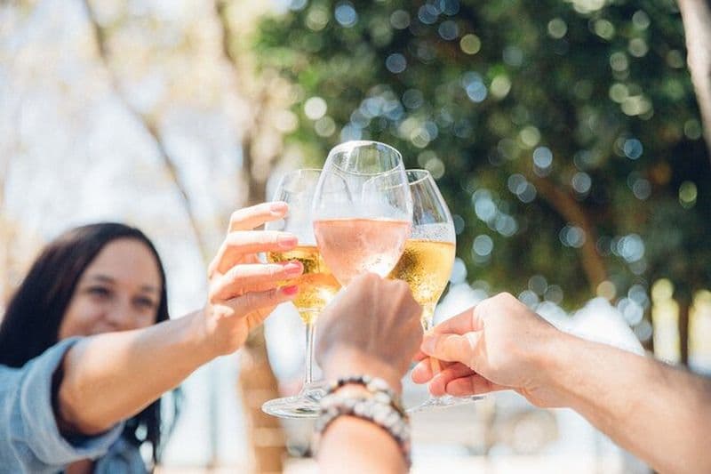 Visite des vins de l'île de Waiheke avec vignobles pittoresques et dégustations