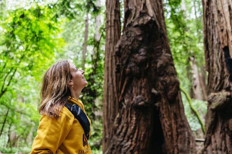 Billet Muir Woods et Sausalito (retour en bus ou en ferry)