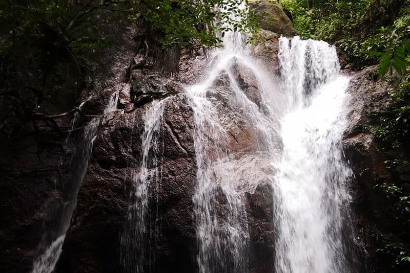 Jungle Trek + Cascade + Batu Caves