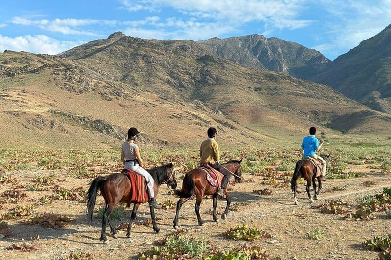 Billet Excursion à cheval de 4 jours dans les montagnes de Nuratau
