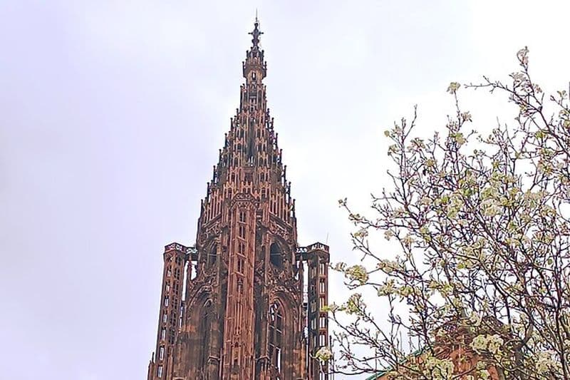 Billet Visites Guidées de la Cathédrale de Strasbourg
