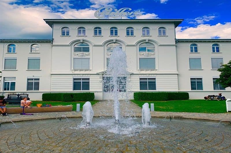 Visite privée du château de Gruyères, du fromage et du chocolat au départ de Bâle