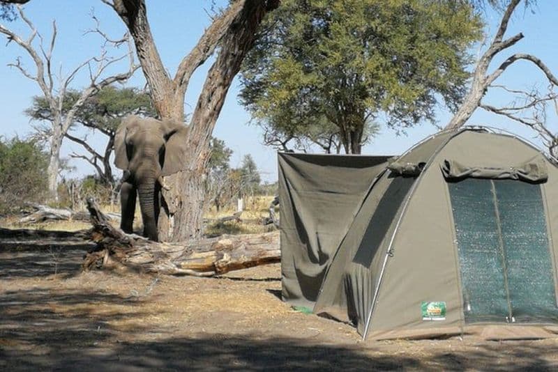 12Day WILDERNESS TRAIL : Okavango, Moremi & Chobe + Victoria Falls
