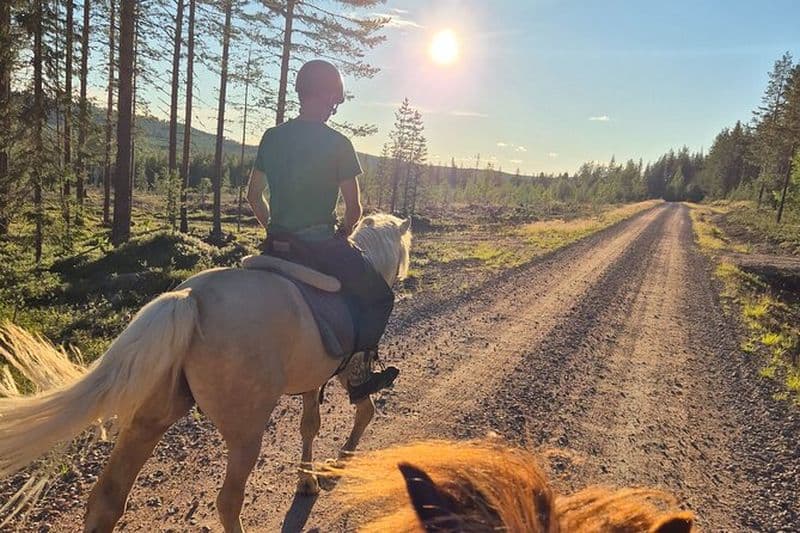 Billet Balade à cheval vers la colline Activité