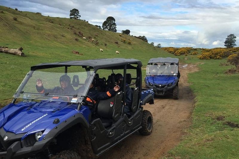 Billet Rotorua Off-Road 4WD Buggy Adventure