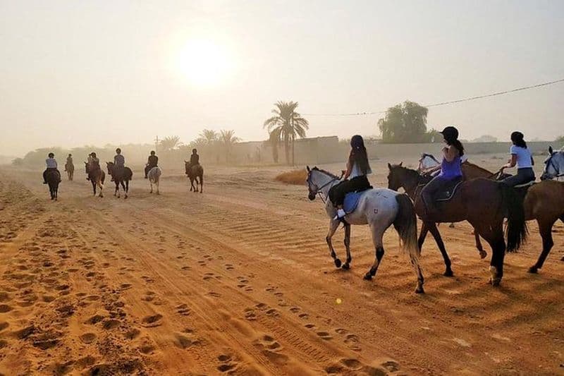 Expérience d'équitation dans le désert à Dubaï
