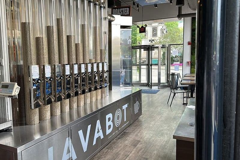 Autoguidé : chasse au trésor à Lake Havasu Hustle