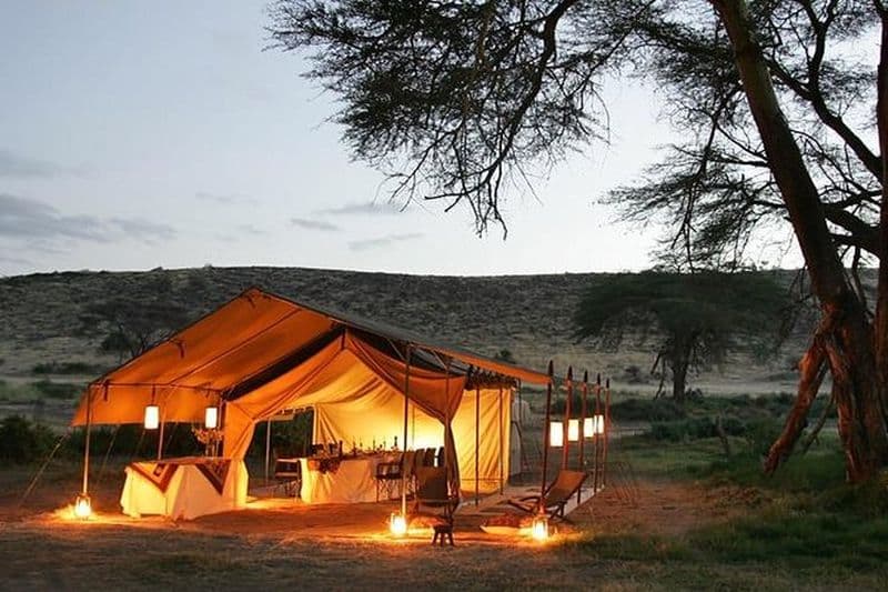 11 jours de visites guidées de la photographie de la faune africaine