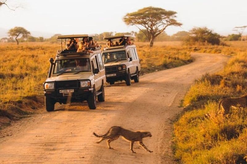 Escalade au Kilimandjaro par la route du Marangu avec 6 jours de safari