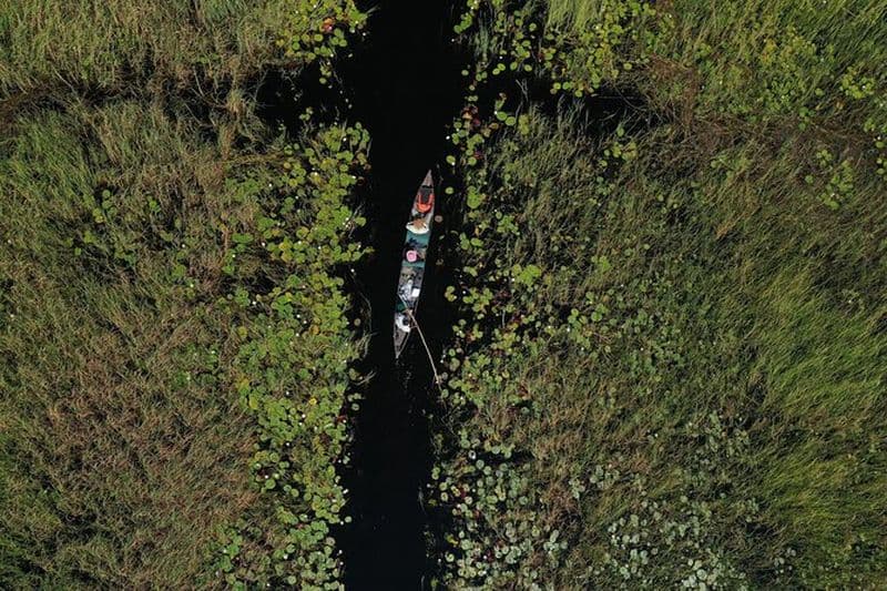 Billet Excursion d'une journée dans le delta de l'Okavango à Mokoro / canoë
