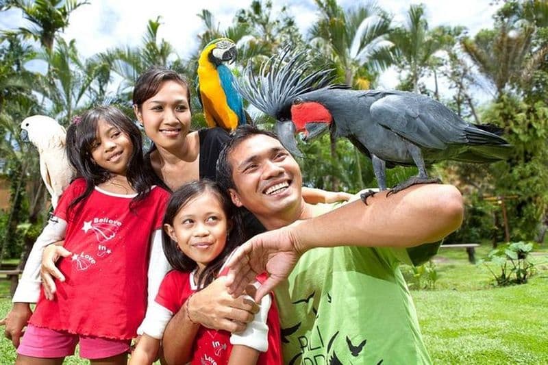 Billet Billet d'entrée au parc des oiseaux de Bali avec transfert à l'hôtel