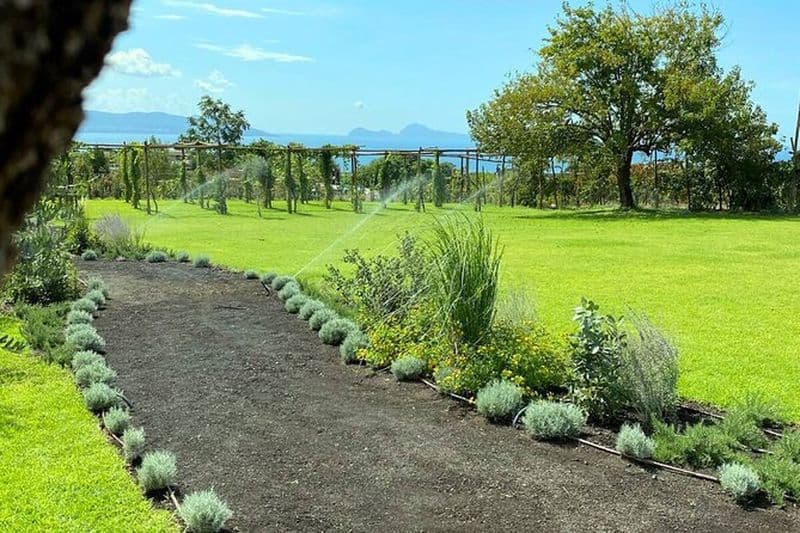 Visite de Pompéi et déjeuner avec dégustation de vin