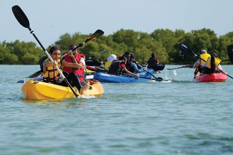 4 heures d'aventure en kayak dans les mangroves de Purple Island au Qatar