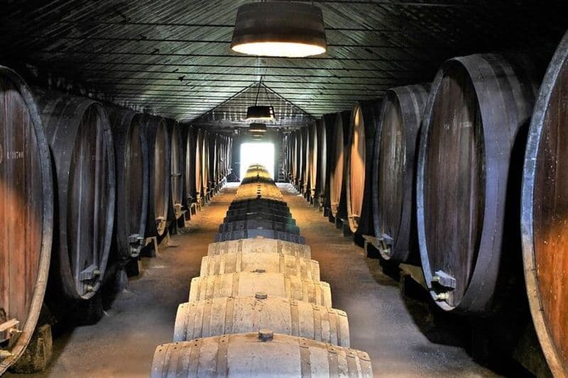 Dégustation privée de vin dans la région viticole de Setúbal, au départ de Lisbonne