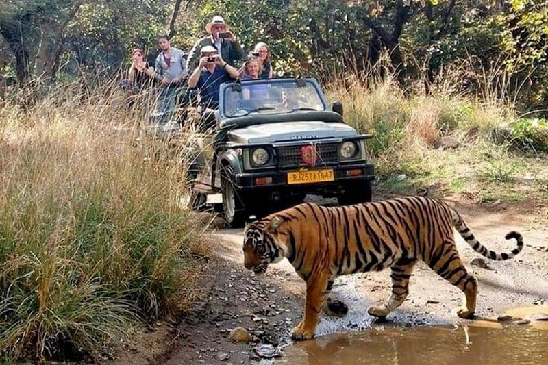 Circuit du Triangle d'Or de 7 jours avec Ranthambore Tiger Safari