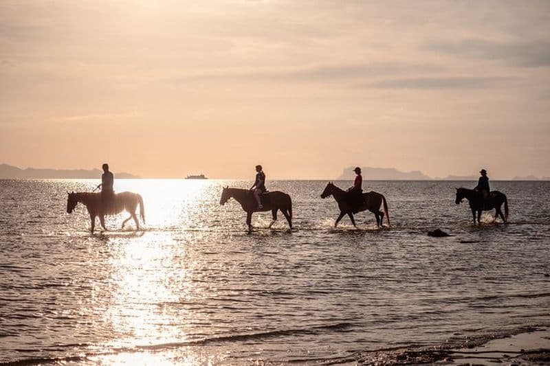 Promenades à cheval pittoresques au coucher du soleil sur la plage de Koh Samui