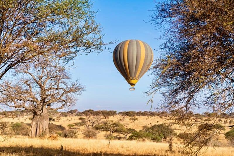 Safari en montgolfière Maasai Mara et Petit-déjeuner champagne