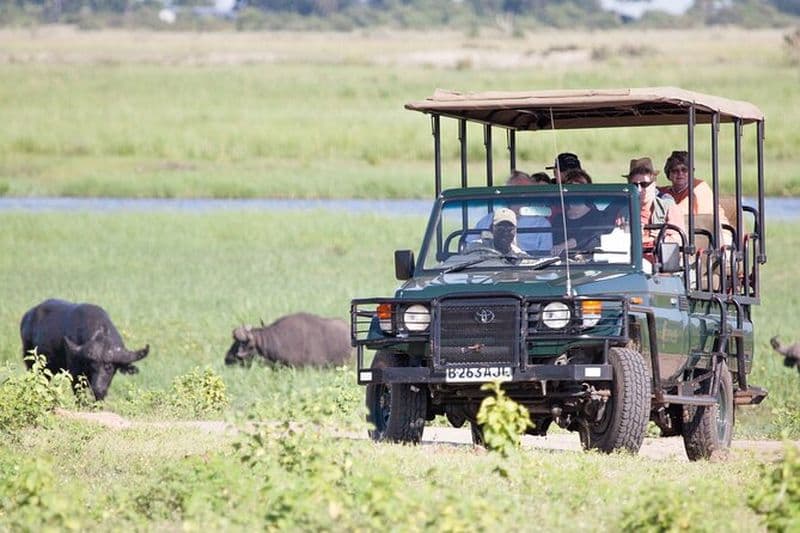 Croisière en bateau et Game Drive dans le parc national de Chobe