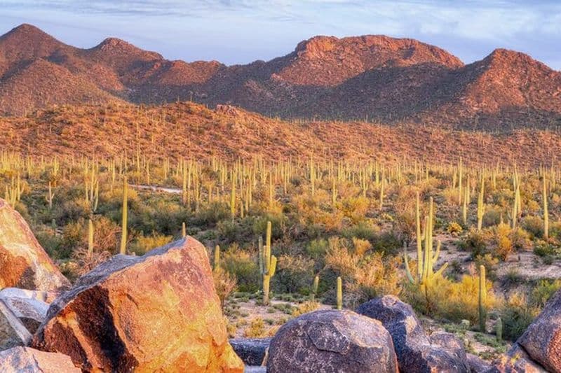 Visite de l'est du parc national de Saguaro en vélo électrique