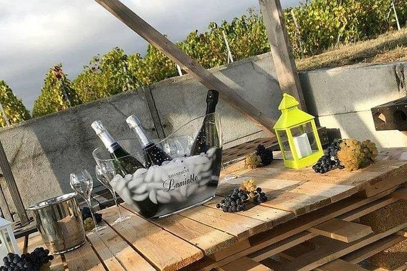 Champagne Lamiable: Balade et dégustation au coeur du vignoble Grand Cru